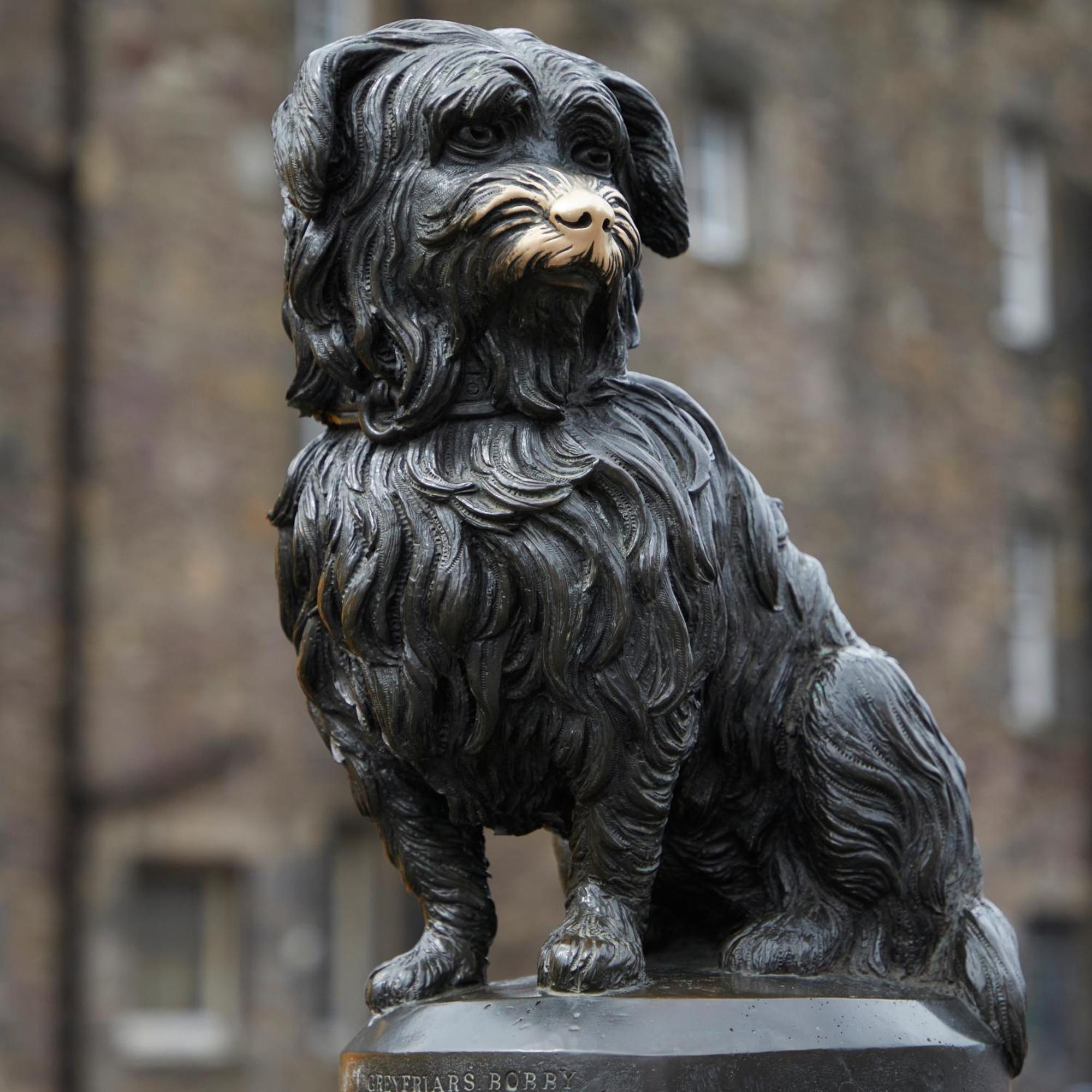 George IV Residence Edinburgh Ngoại thất bức ảnh